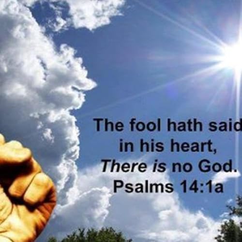 1 Year Audio Bible Podcast || The fool says in his heart, "There is no God" (Jan 16, 2026) copertina