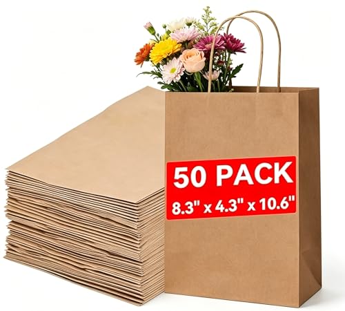 Sac en papier kraft solide et durable de qualité supérieure 21x11x27 cm