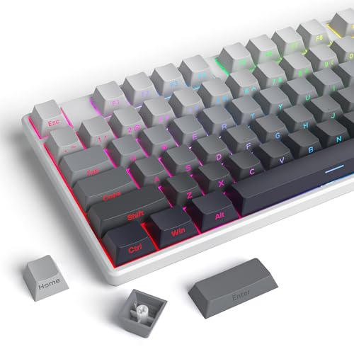 iRoboosta �`�F���[�v���t�@�C���T�C�h�v�����gPBT�L�[�L���b�v�A135�L�[�~�j�}���X�g�_�u���V���b�g�V���C���X���[�J�X�^���L�[�L���b�v�A�`�F���[MX�X�C�b�`�p�O���f�[�V�����L�[�L���b�v�A���J�j�J���L�[�{�[�h(�O���[/�T�C�h�v�����g)