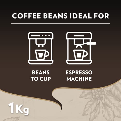 Lavazza café grains espresso maestro bio 1kg - vue 9