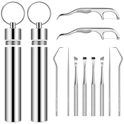ARRITZ Metal Toothpicks, 5Pcs 2 Set Reusable Stainless Steel Toothpick Set with Holder for Outdoor Picnic Traveling Cover