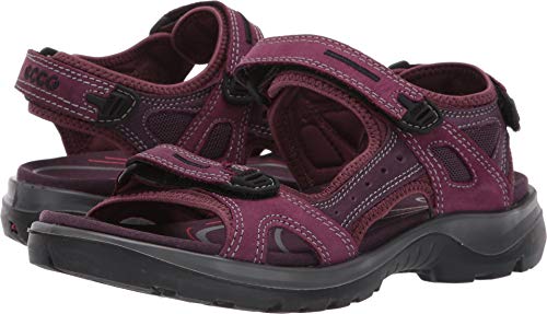 Image of ECCO mens Performance Sport Sandal