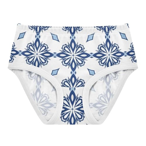 Cartoon Girls Underwear Toddlers 2t Cotton Little Girl Panties Mexican Graphic Blue Flowers Briefs Kids Undies