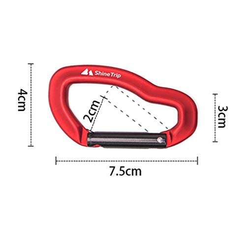 BESPORTBLE Carabeaner 2Pcs Anel De Alumínio D Forma Mosquetão Chaveiro Gancho Vermelho