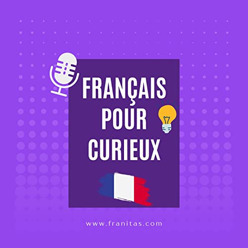 Fran&ccedil;ais pour curieux copertina
