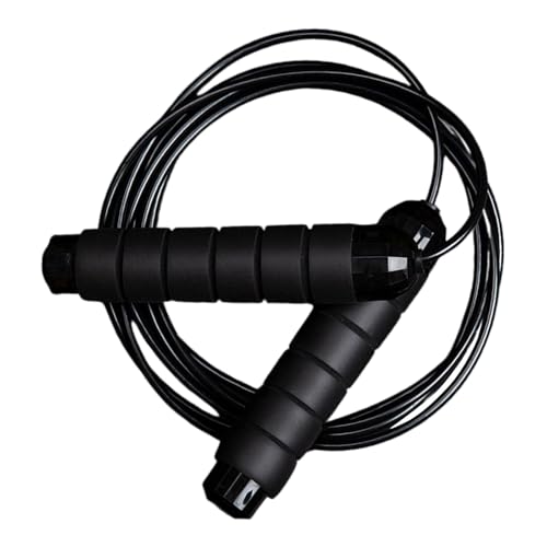 IMIKEYA dX`[꒵ {[xAO h~fUC ߉\tBbglX[v  W Og[jOp