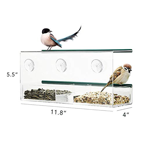 Window Bird Feeder with Powerful Suction Cup and Seed Tray for Outdoor Bird Feeder for Wild Birds. Large External Hanging Bird House Kit with Drain Holes, 3 Suction Cups
