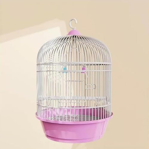 Kwueiit CeA  ^    Zbg IJCR L[ CRX`[  Eh ZLZCCR ϋv   Ƃ肩  _F o[hpi (sN)