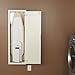 Household Essentials Stowaway in-Wall Ironing Board Finish: White