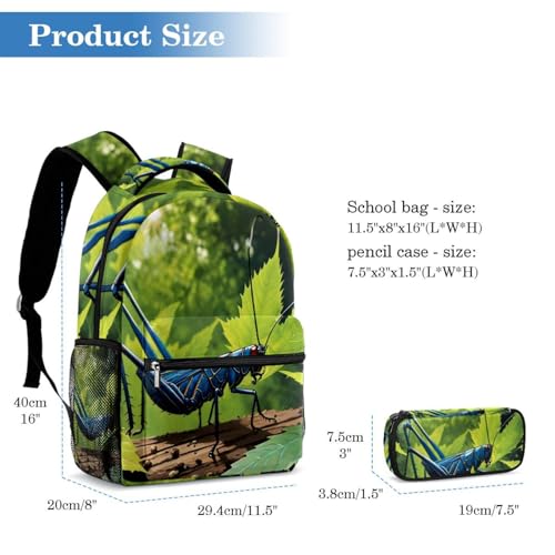 Sac à dos ergonomique et trousse cricket pour ne plus manquer de place au collège - 2