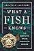 What a Fish Knows: The Inner Lives of Our Underwater Cousins