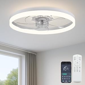 20‘’ Ceiling Fan with Light, Up...