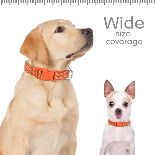Didog Reflektierendes Hundehalsband mit Schnalle, verstellbar, weiches Neopren, gepolstert, Nylon, Haustierhalsbänder für kleine, mittelgroße und große Hunde, Orange, S