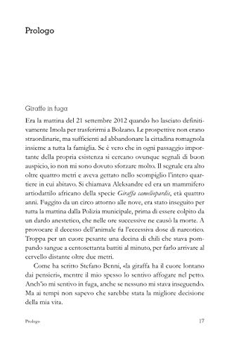 La Montagna Disincantata. L'alto Adige/SüDtirol Tra Mito E Presente - 4