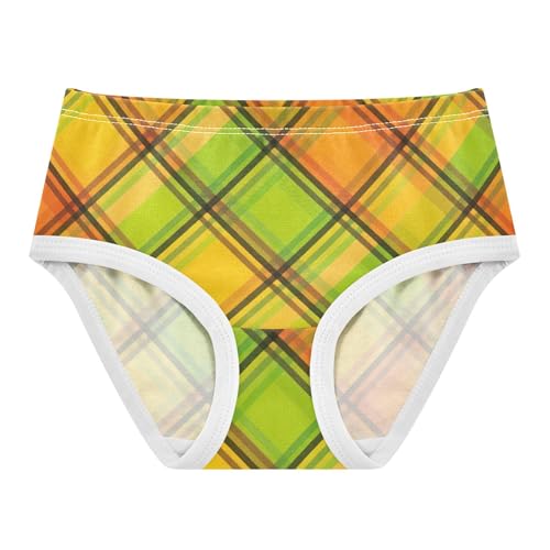 Print Toddler Underwear Floral 2t Cotton Little Girl Panties Colorful Yellow Plaid Black Stripe Undies Kids Briefs