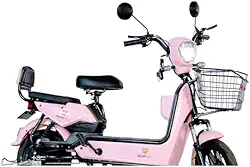 Bicicleta Elétrica 600W, Motor Potente, Velocidade Máxima 32 km/h, Painel Digital, Banco Duplo com Encosto, Rodas Aro 14", Freio a Tambor, Capacidade 150 kg, Autonomia até 25 km