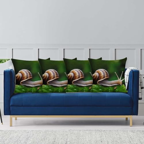 Housse de coussin escargot déhoussable pour un salon impeccable sans couture