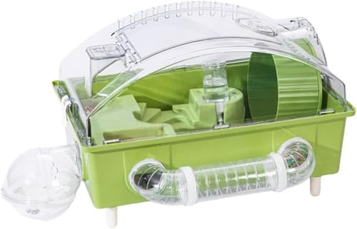 v nX^[ P[W ~j[h LĖ邢nX^[p[N  ^iʑlGjo[T S[fExAEf vXETCY (O[)