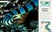Océanos increíbles (Amazing Oceans) (DK Amazing Earth) (Spanish Edition)