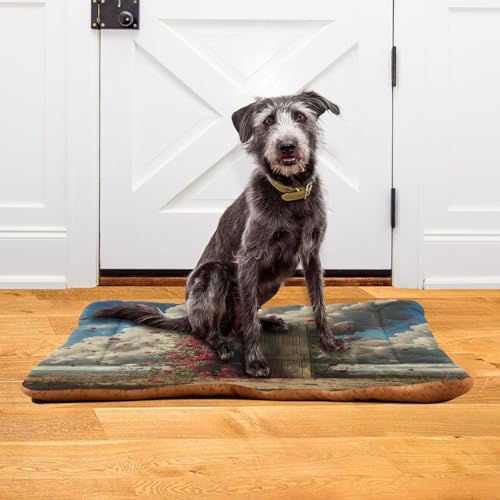 Jihqo Dog Bed Mat Magic Rose Door Small Dogs Crate Pad Washable Non-Slip Soft Pet Sleeping Mattress 24\"x18\"