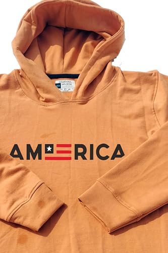 Image of Boys Hooded Sweatshirt, America Print, Cotton Blend, Long Sleeve, Navy Blue /Pink /Orange, Regular Fit