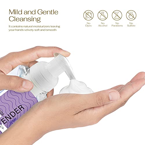Lovery Foaming Hand Soap, 3Pack Moisturizing Hand Soap With Aloe Vera & Essential Oils, Alcohol-Free Hand Wash In Honey Almond, Pomegranate Peach, Lavender Jasmine Scent For Kitchen, Bathroom #TOP2
