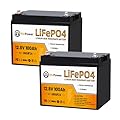 2 Pack 12V 100Ah Mini LiFePO4 Lithium Battery with Small Size and Light Weight, Built-in 100A BMS, UP to 15000 Cycles, Perfect for RV, Trolling Motor,Camping,Solar Home Off-Grid System