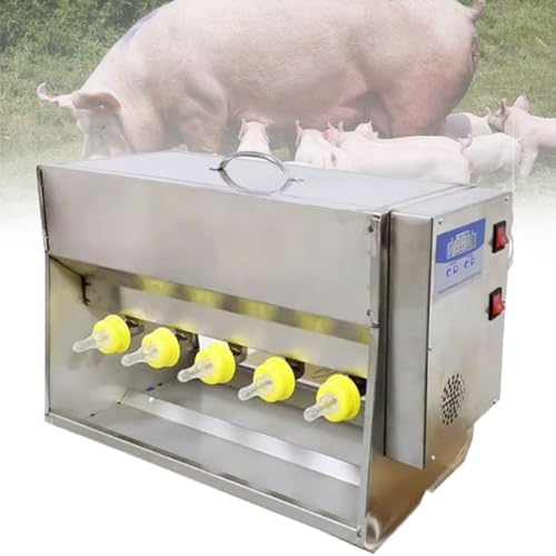 Mangeoire en acier inoxydable durable pour l'allaitement des agneaux