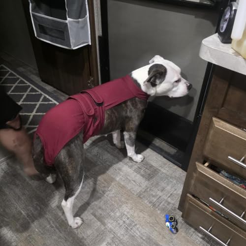 Image of Lelepet Female Dog Diapers with Suspenders, Washable & Reusable Wine Red | Adjustable and absorbent dog diapers for heat cycles, incontinence, and senior dogs. Comfortable all-day fit. Pet panties