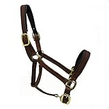 Finos comunicación entre humanos y caballo: mediante la ronda cuerda de nailon y por los nodos a los puntos de presión especial es una especialmente finos comunicación con su caballo por el cartuchera posible.