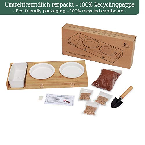 Pfotenolymp® Futterstation mit Katzengras für Katzen - Katzennapf/Futternapf aus Porzellan - erhöhtes Napf-Set mit Katzengrasschale - Fressnapf hoch