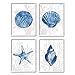 Stupell Industries Blue Shells Starfish and Sand Dollar Over Seaweed White Framed Wall Art