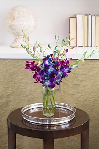 Image of KaBloom-10 Blue&Purple Orchid Bouquet,Flowers for Valentine, Mother's Day