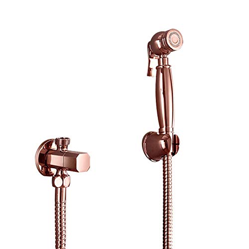 Ensemble pulvérisateur de bidet portatif pour toilettes - Fixation murale à eau froide - Amélioration de l'hygiène de la salle de bain - Doré brossé