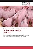 El lechón recién nacido: Mejorando la producción de los lechones por medio de minimizar las pérdidas
