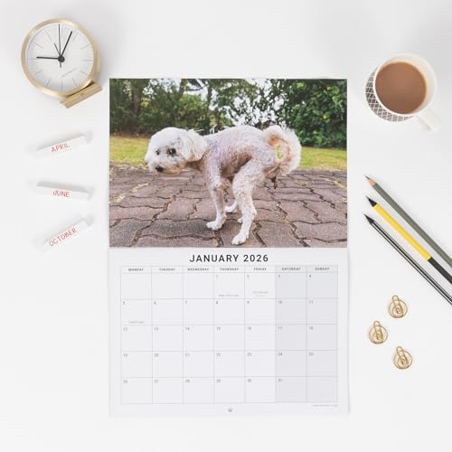 Funny Dog Pooping Calendar 2026 Month to View A3 Hanging Planner - Image 3