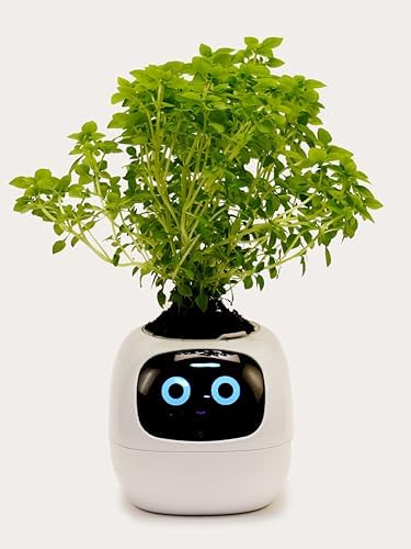 Genérico Smart Planter with Soil and Seeds | Urban Orchard Kit | ...