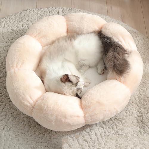 ybgxbh L  ӂӂ Ԃ̌` 킢  g ~ p 􂦂 ybgNbV ybgnEX ybg\t@[ [΍ ~΍ ʔN sN3 L