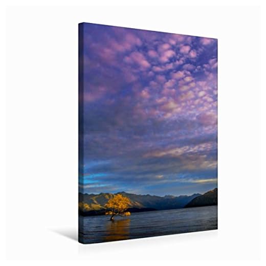 CALVENDO Wanaka Toile en Textile de qualité supérieure Motif Arbre de la mer du Matin de Nouvelle-Zélande 50 x 75 cm