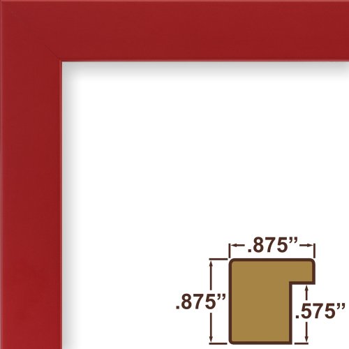 Craig Frames Confetti, Modern Red Picture Frame, 18 X 24 Inch #TOP1