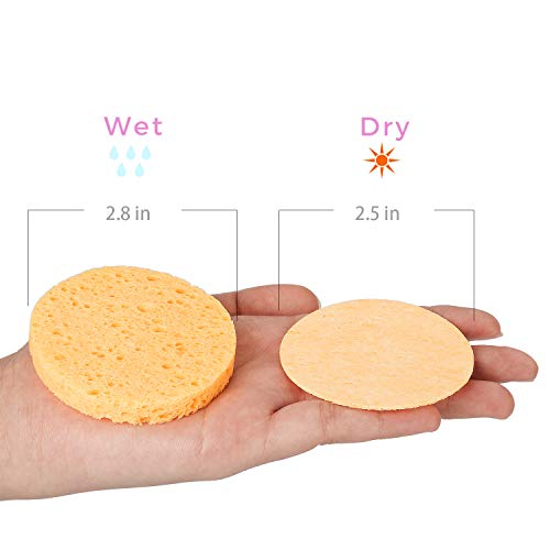 50-Count Compressed Facial Sponges, Gainwell Cellulose Facial Sponges, 100% Natural Cosmetic Spa Sponges For Facial Cleansing, Exfoliating Mask, Makeup Removal #TOP3