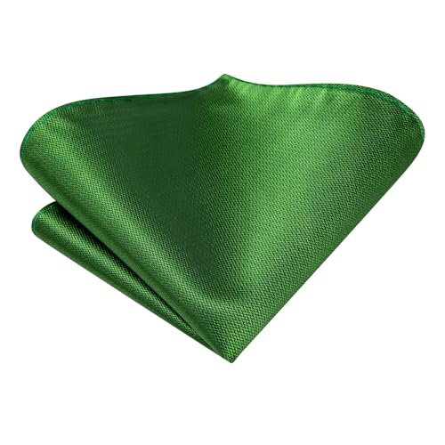 Image of Hi-Tie Men 63inches Tie Set Extra Long Necktie Paisley Tie Pocket Suqare Cufflinks Big and Tall Men Tie,Grass Green