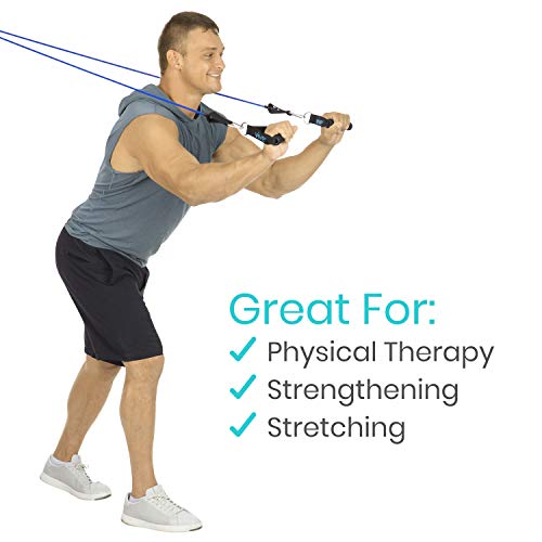 Vive Resistance Band Set (12 Pcs) - Heavy Duty Stretch Tube Rehab Bands - Shoulder Pulley Door Anchor - 2 to 70 LBs Tension - Home Workout Elastic Fitness Equipment - Men, Women Training (Standard)