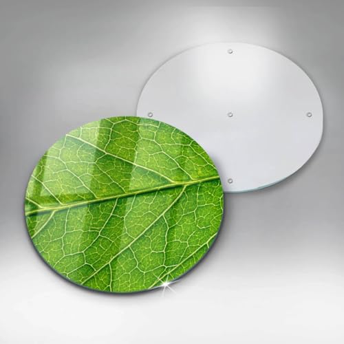 Eviter rayures plaque induction avec la protection 30cm Wallfluent - 5