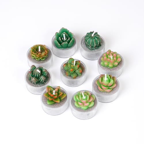 9PCS Handmade Unscented Succulent Cactus Tealights