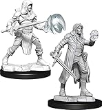  Dungeons & Dragons D&D Nolzur\'s Marvelous Unpainted Miniatures: Multiclass Fighter + Wizard Male