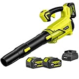 Souffleur Batterie 20V Incluses 2x4.0AH Batterie et Chargeur Vitesse Variable Souffleurs de Feuilles,850m³/h,220km/h 2 Tubes Amovibles, Pour Jardin, Terrasse, Allée et Garage