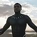SEVENSTONE Cosplay Marvels Black Panther Wakanda King T'Challa Pendant Necklace Superhero Necklace for Men Women (Silver)