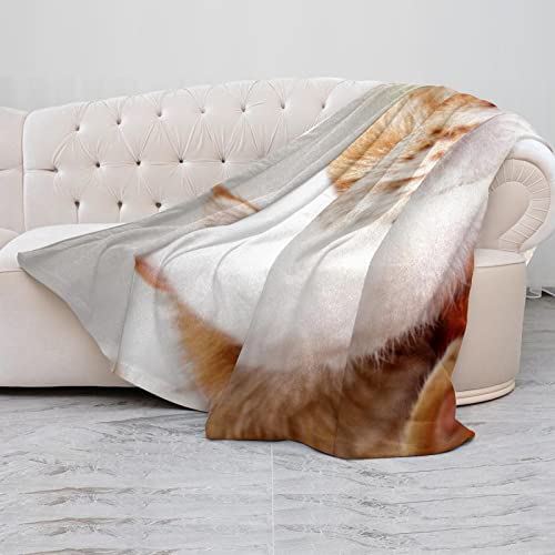 Couvertures en microfibre imprimées chat pour un cadeau d'anniversaire - 5