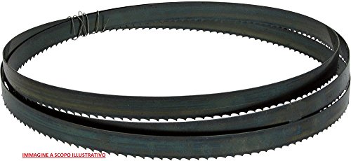 Lame a nastro set 5 pz sviluppo 2240 x 6, 10, 13